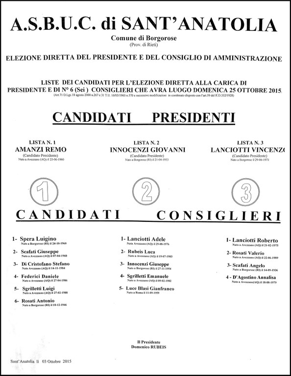 locandina-elezioni-del-25-ottobre-2015.jpg